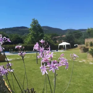  Bed & Breakfast Alba Morus Bed E Breakfast Sentiti A Casa Nel Cuore Della Toscana Italy